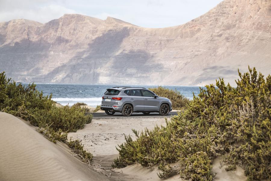 Cupra Ateca Limited Edition 2019 года  (WW) (фото 14 из 40)